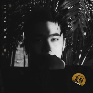 琳妮特穿越规则怪谈小说
