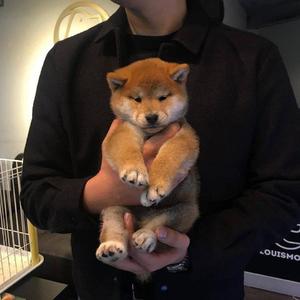 琳妮特穿越规则怪谈小说
